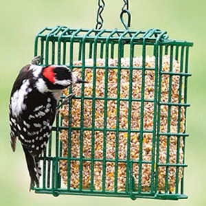 Suet Cakes - 12 for $7.99
