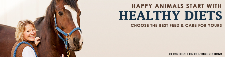 Healthy Diets
