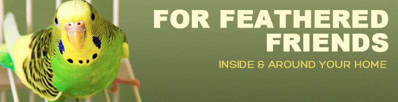 For Feathered Friends