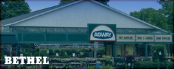 Bethel Location