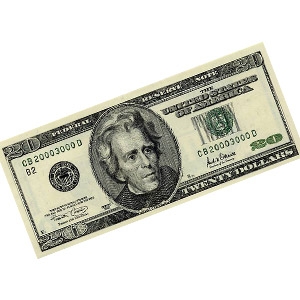 $20 off 1-day rental!