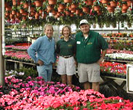 Greenhouse Pic