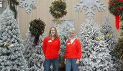 Christmas Pic