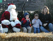 Christmas Pic