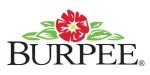 Burpee