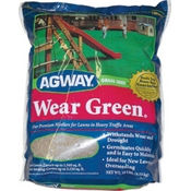 Grass Seeds