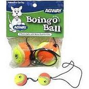 Cat Toys