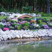 Home & Garden