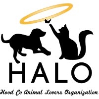 HALO Adoption Day