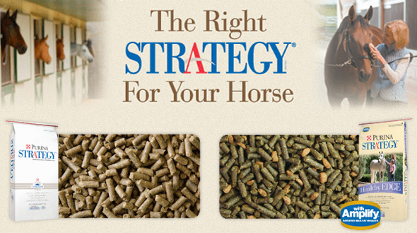 Purina Strategy Slider 2012