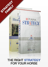 Purina Strategy Equine Feed
