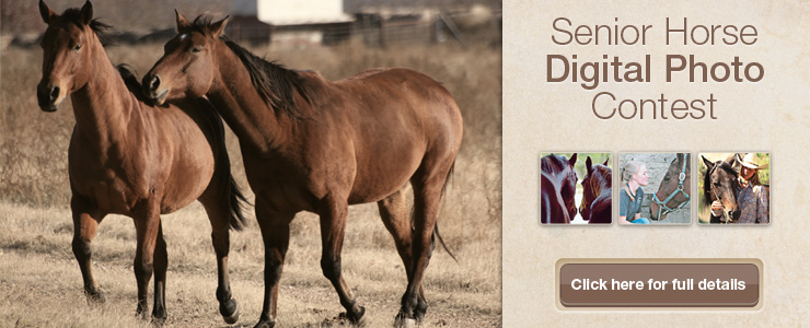 Senior Horse Photo Contest