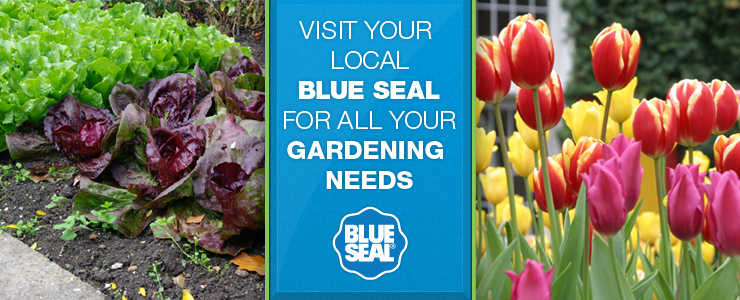 Visit your local Blue Seal for all your gardening needs