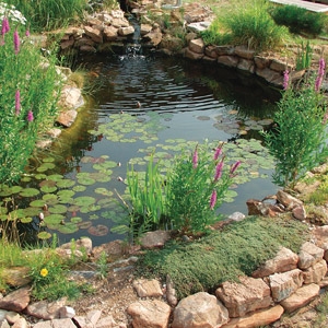 Closing Your Pond 