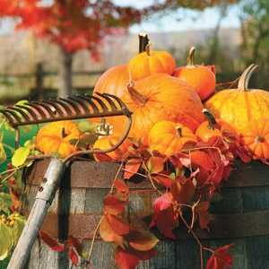 Fall - O - Ween Festival