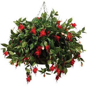$1 Off any Hanging Flower Basket