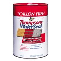 6 Gallon Thompson's Water Sealer for only $57.99