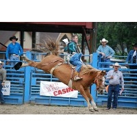 Roy Pioneer Rodeo