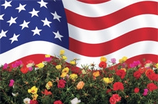 Memorial Day Weekend Sale!