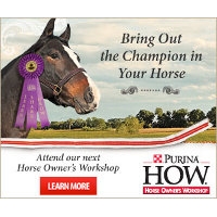 Horse Owner's Workshop 