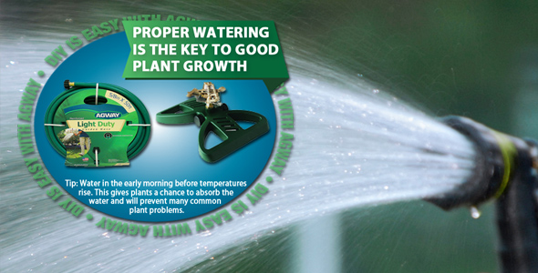 DIY Proper Watering