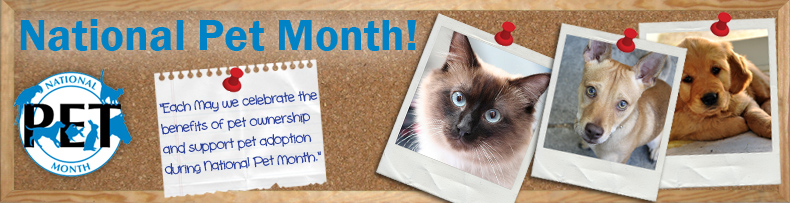 National Pet Month