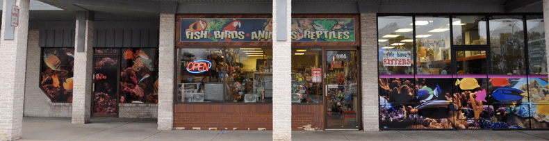 Store Front