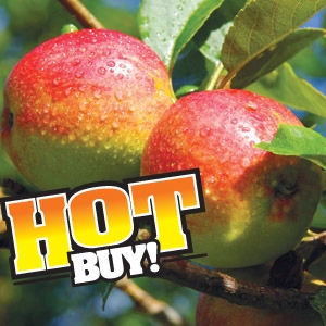 Nursery Hot Buy-25% Off Fruit Trees & Berry Plants