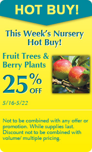 Fruit trees and berry plants