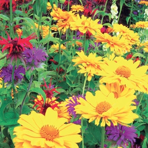 Nursery Open House