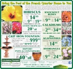 Bring the Feel of the French Quarter Home
