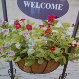 Nursery Garden Center