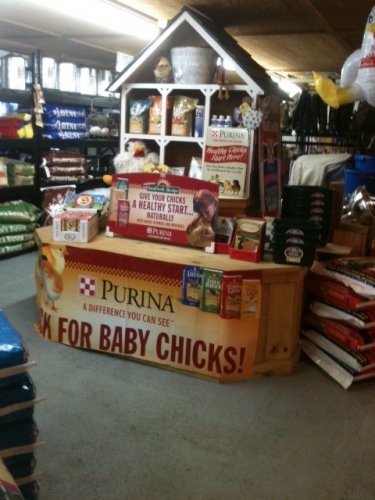 lakeside feed guilford ct horse feed ct tack shop lakeside feed guilford ct horse feed ct tack shop
