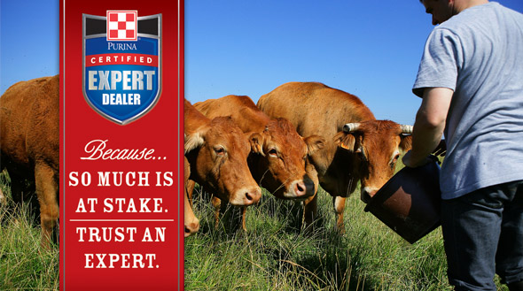 Purina Expert Slider