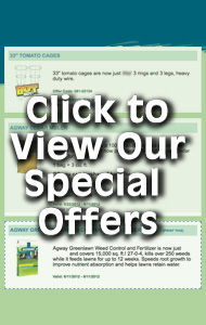 Flyer and Other Offers