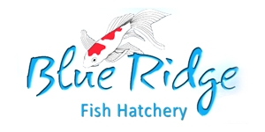Blue Ridge Fish Hatchery