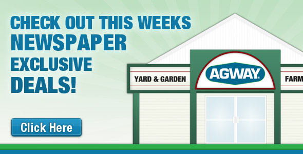 newspaper exclusive deal
