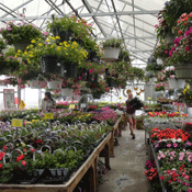 Nursery
