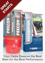 Purina 2012 Cattle Products