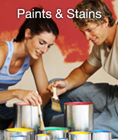 Paint