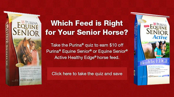Equine Quiz