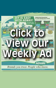 weekly ad
