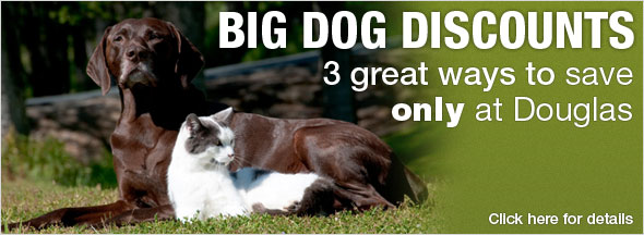 Big Dog Discounts