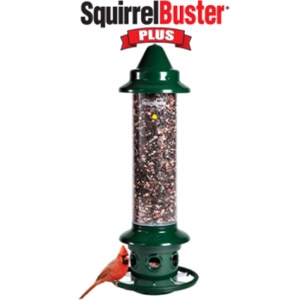 Squirrel Buster