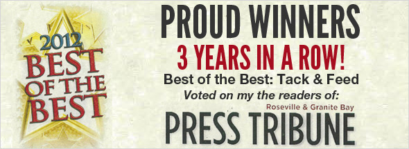 Best of the Best
