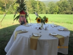 40 x 60 Dimond Hill Table Set