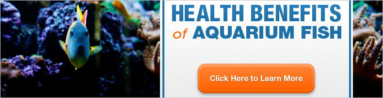 BCI Aquarium-Fish November Ad