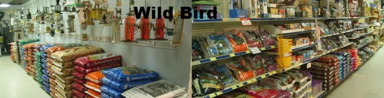 Wild Bird Slider