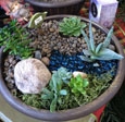 Fairy Garden