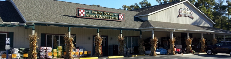Store Front